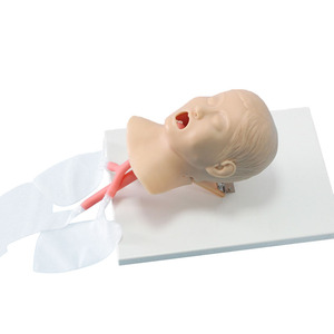 Simulateur d'entraînement à l'intubation trachéale pour enfant, taille réelle, en PVC durable, mannequin de soins infirmiers pour la gestion des voies respiratoires en milieu médical - Product Image 5