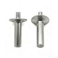Rivets à tête fraisée en aluminium/acier, installation rapide, aucun outil spécial requis pour la fixation de panneaux et de garnitures