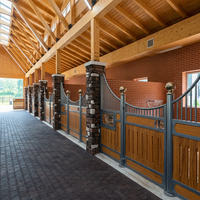 Box de stockage modulaire portable pour chevaux TY, panneaux avant de box galvanisés à chaud, porte hollandaise, 2,5x4m, abri préfabriqué extérieur, garantie 3 ans