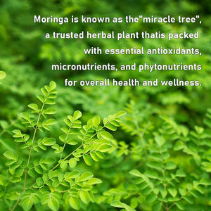 مكمل عشبي عالي الجودة لزيادة الطاقة وتحسين المزاج، كبسولات المورينجا الكاملة لتحسين البشرة، مستخلص أوراق المورينجا - Product Image 4