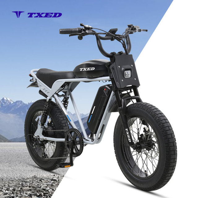 TXED Factory Price Popular Electric Motor Bike 48V 13Ah Lithium Battery F/R Hydraulic Disc Brake Motorcycle Electric Bicycle