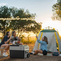 Réfrigérateur de voiture 30L 12V 24V, compresseur, congélateur, double usage USB, glacière portable pour camion, camping-car, camping