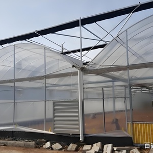 Bán buôn Thông Minh Thương mại Nhà kính cho rau phát triển ổn định phim màu xanh lá cây nhà với chi phí thấp nhựa khung kim loại - Product Image 4