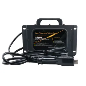 IP67 individueller professioneller wasserdichter Batterielader 12 V 35 A 24 V 30 A 36 V 25 A 48 V 20 A 60 V 15 A 72 V 12 A Autoladegerät