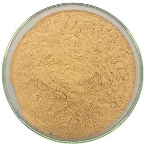 <span class=keywords><strong>Poudre</strong></span> d'extrait d'<span class=keywords><strong>Ashwagandha</strong></span> de haute qualité 5% Withanolides - Product Image 1