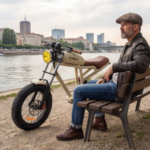 실리 스포츠 48v 750w 19.2ah 빈티지 전기 트래커 전기 자전거 레트로 스팀 펑크 레트로 전기 자전거 - Product Image 4