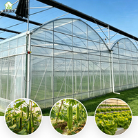 Serre à structure en acier multi-travées à grande portée pour la culture de légumes et de fleurs, avec une structure stable et un montage facile