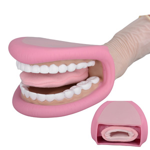 Modèle dentaire standard en gros TL-YL035 TIANLIAN – Modèle anatomique en résine pour l'enseignement, la beauté dentaire et les prothèses orales - Product Image 4