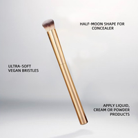 Ensemble de pinceaux de maquillage personnalisés HG New Dragon Inspired Foundation et Correcteur, poils véganes, essentiels pour le teint