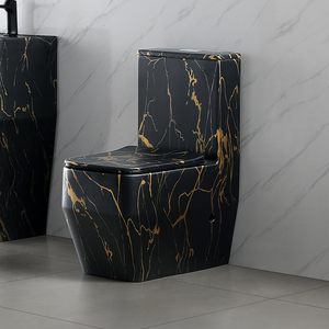 طقم مرحاض وحوض سيراميك عصري مع مرحاض مثبت على الأرض وحوض غسيل مدمج باللون الأسود الخالص والذهبي - Product Image 2