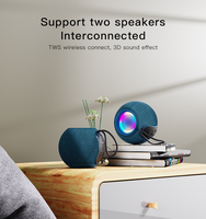 YSW13 con Precio de Mayoreo, Altavoz Inalámbrico BT Mini de Guangdong con Sonido de Alta Fidelidad, Conexión Inalámbrica Rápida y Estable, Subwoofer