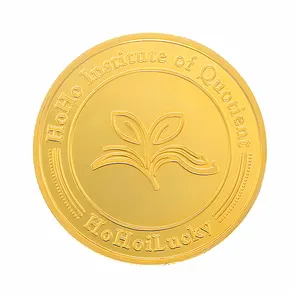 स्मारिका 3डी स्मारक सिक्का बक्से कस्टम जिंक मिश्र धातु धातु सोना चुनौती सिक्का