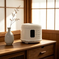 Autocuiseur multifonction en acier inoxydable antiadhésif WT-D03-1.6L 400W avec 7 modes de cuisson et minuteur mécanique pour la maison - Vente en gros