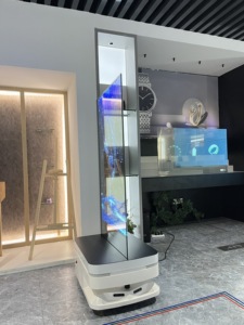 Robot publicitaire interactif Advor 55 pouces OLED pour salons professionnels, événements et promotion de marque - Product Image 3