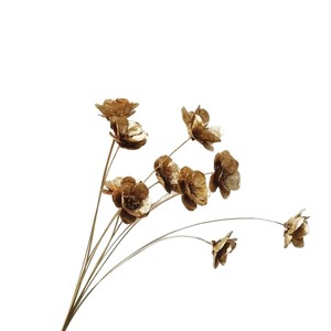 Bouquet naturel de fleurs séchées artisanales, clochettes argentées préservées, style Instagram, pour décoration de maison et arrangement en vase - Product Image 5