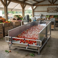 Volledig automatische 80KW roestvrijstalen machine voor het maken van fruitpasta, productielijn 0,5T-50T/H, merk QIANWEI