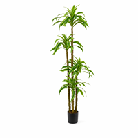 Plante artificielle Dracaena Gold Heart en gros avec pot blanc, décoration d'intérieur pour salon et bureau