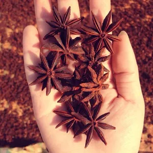 Vietnam Star Anise para venda preço barato Especiarias alta qualidade