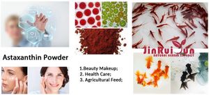 ราคาดีที่สุด อาหารเสริมแบบขายส่ง แอสตาแซนธินธรรมชาติ ราคา 1 กก. 5% 10% สารสกัดจากสาหร่ายพลูไวลิส แอสตาแซนธินผง - Product Image 2
