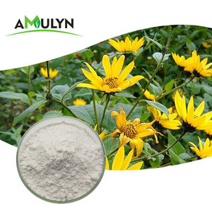 Мгновенный кофейный порошок цикория, индийский порошок цикория - Product Image 4