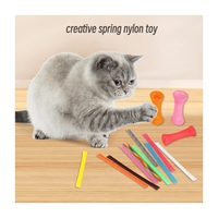 Jouet pour chaton, tuyau élastique coloré interactif et ludique, spirale en plastique, ressort pour chat