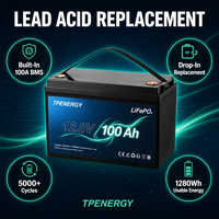 Аккумулятор TPENERGY 12В 100Ач LiFePO4 глубокого разряда для ИБП, аварийного питания, морских судов и троллинговых моторов