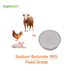 Preço do Pó de Butirato de Sódio Grau Alimentício 98% 40% 70% 90% - Product Image 5