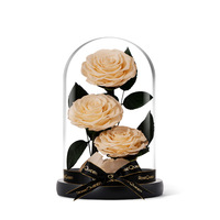 Nouvelles roses violettes tendance 2024, cadeaux élégants, roses éternelles colorées et préservées dans un dôme en verre, pour un cadeau de remise de diplôme