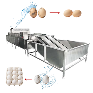 Codorniz pato ganso pollo huevo cáscara limpieza huevo lavadora máquina 20000 unids/hora precios huevo lavadora - Product Image 1