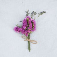 Bouquet de fleurs séchées de haute qualité, style naturel miniature, centre de table, mélange de herbe à queue de lapin, rose préservée, fleurs séchées