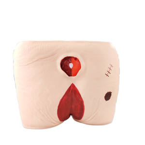 Modelo Avançado de Cuidados com Úlceras por Pressão DARHMMY para Treinamento em Enfermagem - Product Image 2