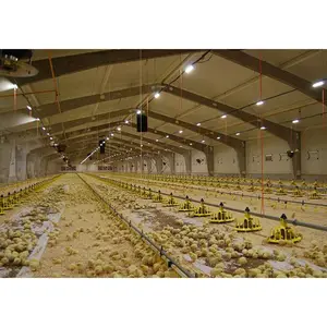 Best Seller Factory Prefab Chicken House Kit Steel Layer Chicken Farm House For 2000 Hen Chickens