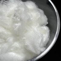 China Supplier 3D Crimped Acrylic Staple Fiber for Toys, Pillows and Quilt Filling