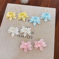 Boucles d'oreilles tendance en acétate en forme de fleur pour femme, nouvelle collection 2025, style français, clous pétale audacieux, uniques et haut de gamme