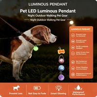 Pendentif lumineux LED pour animaux de compagnie, collier pour chien, étiquette lumineuse d'avertissement, résine plastique, sécurité pour les promenades nocturnes