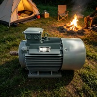 Éolienne verticale silencieuse Enning 5 kW avec générateur synchrone à aimant permanent, protection IP68, tension 48 Vca-1140 Vca