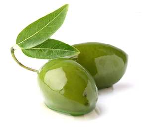 オリーブリーフパウダー天然オリーブリーフエキスオレウロペイン10% 20% 30% 80% 工場供給 - Product Image 2