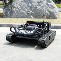 Robot tondeuse à gazon RC à essence CE, tondeuse à gazon télécommandée de type chenillé pour zones humides