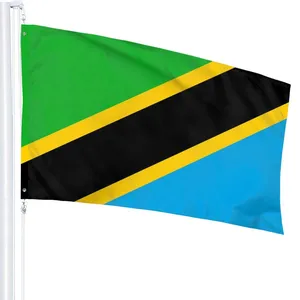 Huiyi Promotional Tanzanian Hanging Flags Custom 3x5ft Country Tanzania Flag