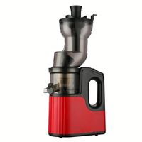 RVS 200W Professionele Slow Juicer met Grote Vulopening Elektrische Huishoudelijke Machine