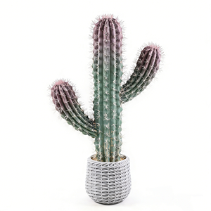 Décoration de <span class=keywords><strong>cactus</strong></span> artificiel en pot, plante succulente artificielle, bonsaï pour le bureau, la <span class=keywords><strong>maison</strong></span>, la décoration de fête - Product Image 3