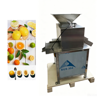 Presse-agrumes automatique à double rouleau pour jus de fruits, citron, mandarine verte, pamplemousse, citron vert