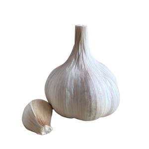 <span class=keywords><strong>Ail</strong></span> tressé Offres Spéciales prix de gros 5.0cm 1kg/500g - Product Image 5