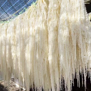 Amaranthus decoración de boda flor <span class=keywords><strong>amaranto</strong></span> Natural flor seca preservada colgante Amaranthus para decoración del hogar - Product Image 4