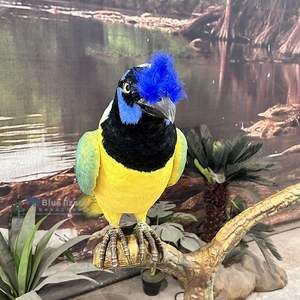 Pájaros africanos: Pájaro <span class=keywords><strong>papamoscas</strong></span> Animatronic de garganta azul personalizado para exhibición - Product Image 3