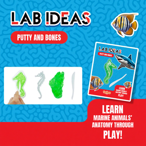 6 styles de jouets : Kit de fouilles pédagogiques de fossiles d'os d'animaux marins pour le soulagement du stress, Jouet d'expérimentation en laboratoire sur les requins, Jouet sensoriel à presser en slime - Product Image 1