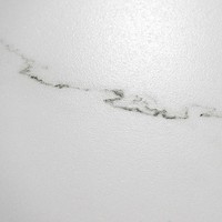 Baldosa Rectificada Mate Calacatta Thassos de 60x120 cm y 10 mm de Espesor
