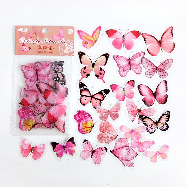B-Daisy butterfly