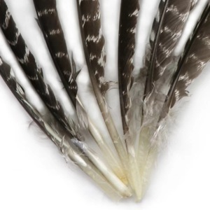 Plumes d'aile de dinde pour décoration (pas de taches, de coupures, de pièces manquantes) - Product Image 2