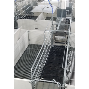 ลังคลอดลูกหมูคุณภาพดีออกแบบ 2 ประตูการเลี้ยงสัตว์อุปกรณ์การเลี้ยงหมูการออกแบบที่กําหนดเองจากผู้ผลิตเวียดนาม - Product Image 1